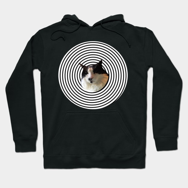 Hypnotic Cat Hoodie by TenomonMalke